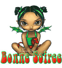 bonne soirree